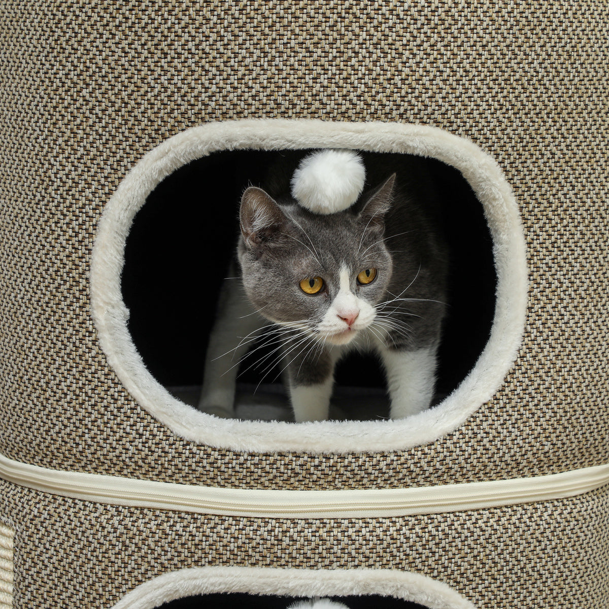 PawHut Katzenfass, 3 Ebenen, mit Kissen, Kratzmatte, Spielbällen, Katzenhaus für Innenbereich, Braun